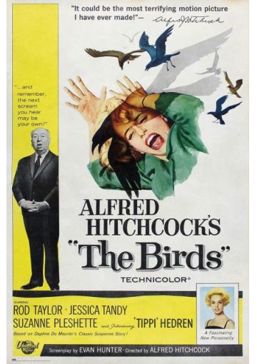 LEKCJE FILMOWE: Ptaki